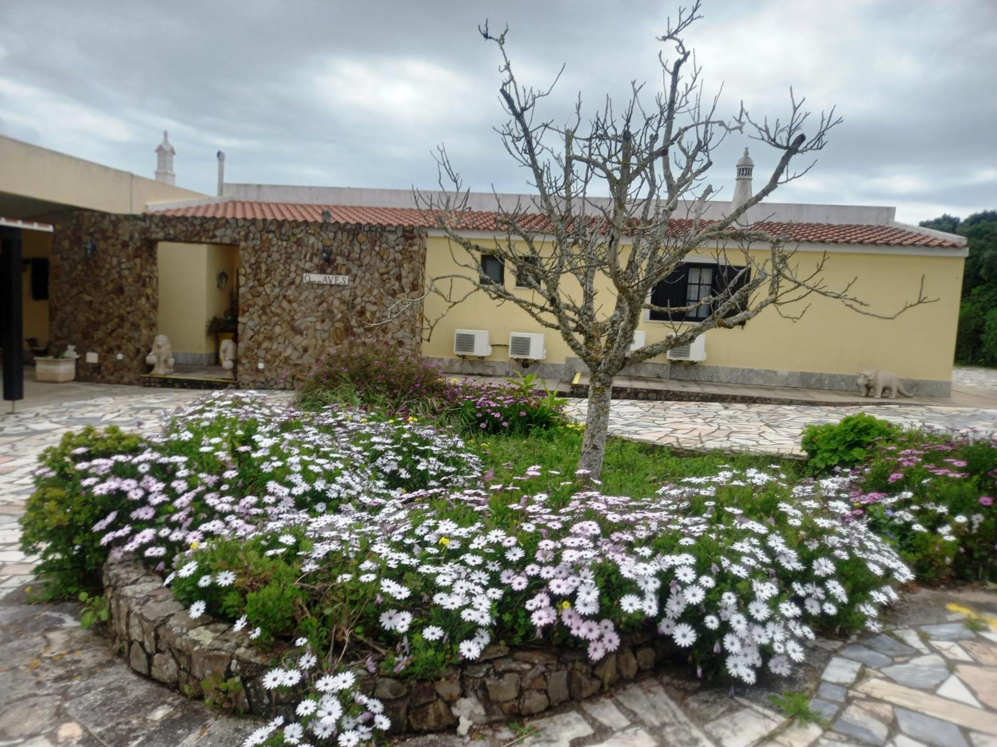 Quinta Das Aves ξενώνας Λάγος Εξωτερικό φωτογραφία